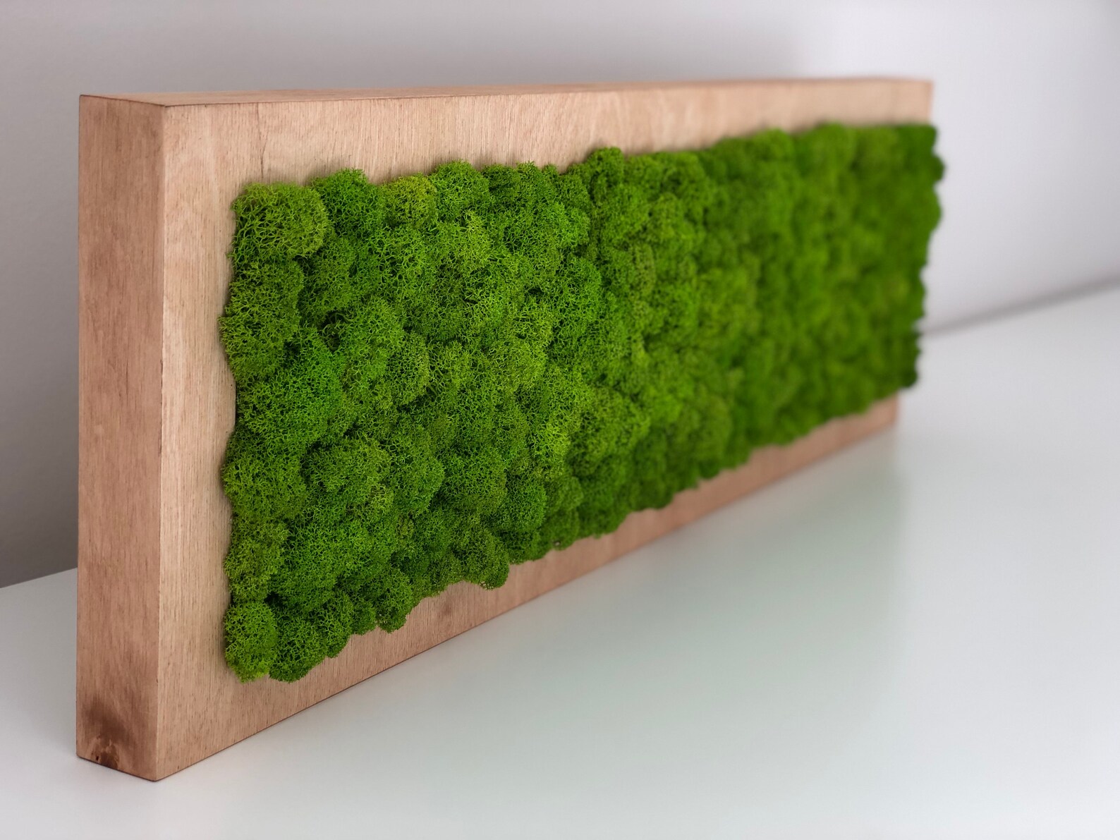 Moos-Wand Grüne Wandkunst Konserviertes Moos | Etsy