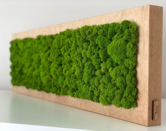 Moss Wall | Green wall art | Preserved moss | Walnut art | Plant wall decor | Plant wall art | Moss wall art with solid wood frame