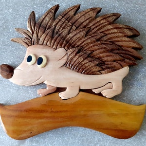 Cartello personalizzato per porta in legno a forma di riccio: targa personalizzata per gli amanti degli animali del bosco