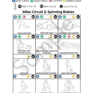 Puede incluir: Una infografía blanca titulada "Miles Circuit & Spinning Babies" con ilustraciones de ejercicios para el parto. El gráfico incluye diagramas de varias posiciones, como manos y rodillas, y zancadas, con etiquetas.