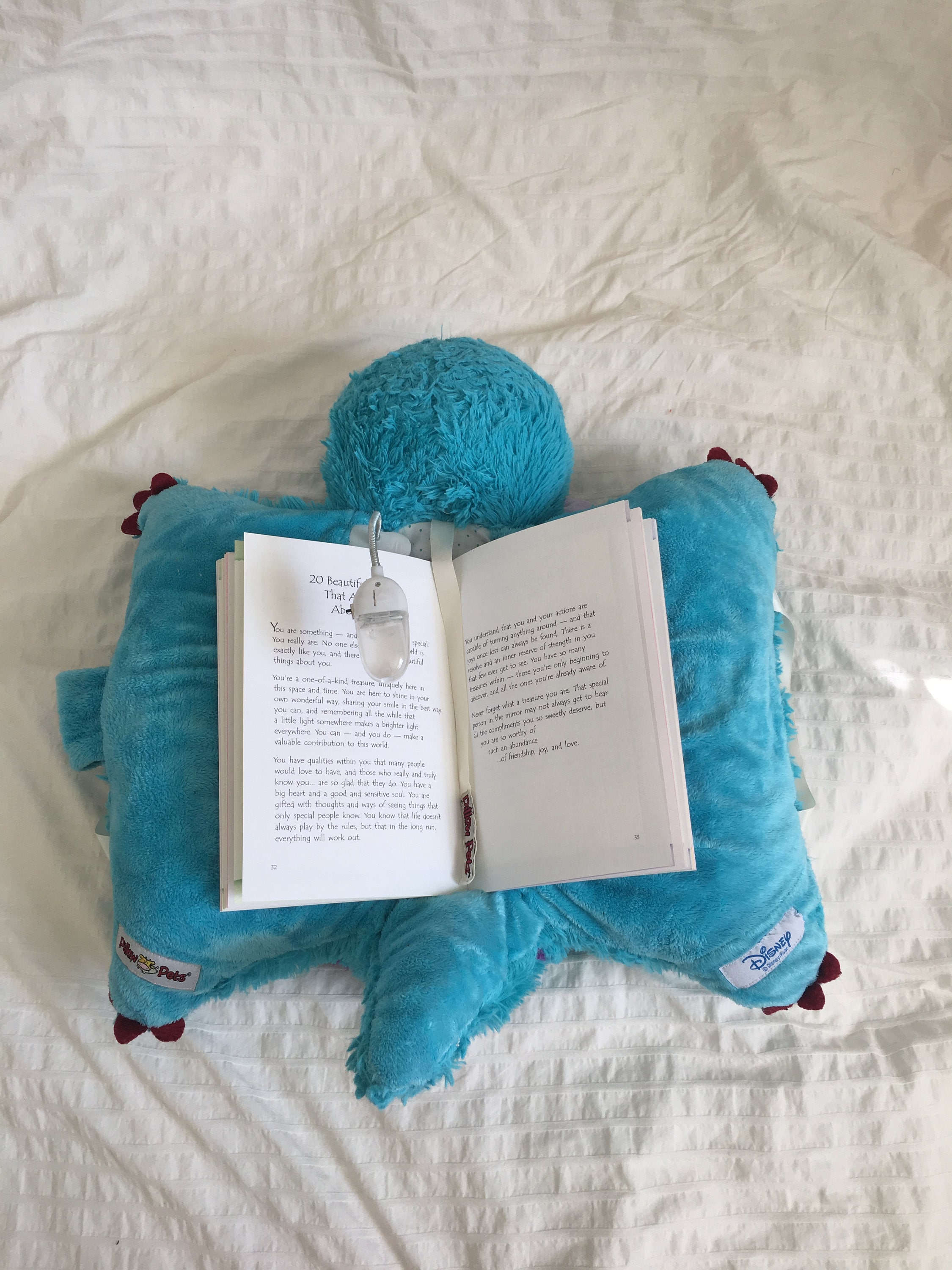 sully pillow pet