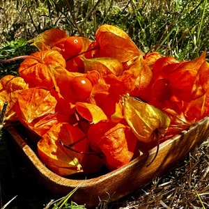 Op de afbeelding: Een houten kom gevuld met oranje en gele papieren lantaarns, ook wel bekend als Chinese lantaarns of Japanse lantaarns.