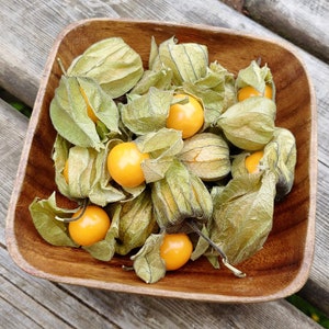 May include: A wooden bowl filled with golden yellow cape gooseberries, also known as golden berries, in their papery husks.