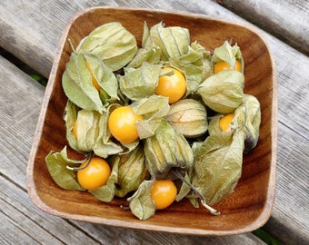 Cape Gooseberry Seeds - Physalis Peruviana - Superzoet, pittig en overvloedig