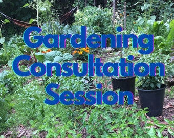 Gardening Consultation Session - Private & Custom