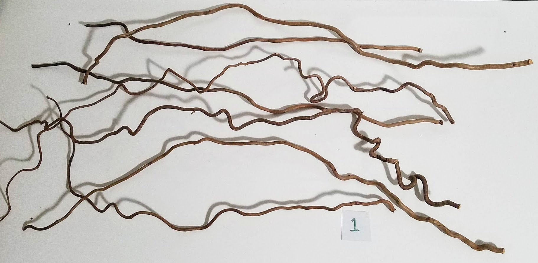 Large Twisted Sticks Stick Bundles Decor and Crafts Etsy