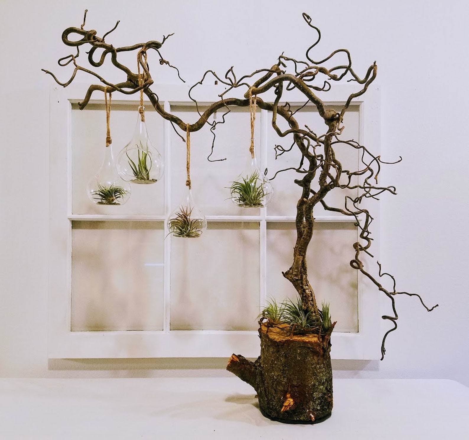 Large Twisted Branch for Crafts and Decor Natural Floral Etsy