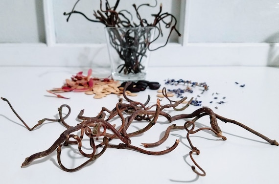 Twisted Twig Craft Sticks – 3–5″ Natural Curly Branches for Fairy Gardens, Miniature Decor, Rustic Crafts