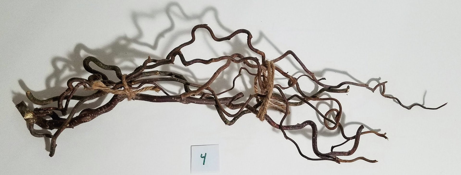 Medium Twisted Sticks Stick Bundles Decor and Crafts Etsy