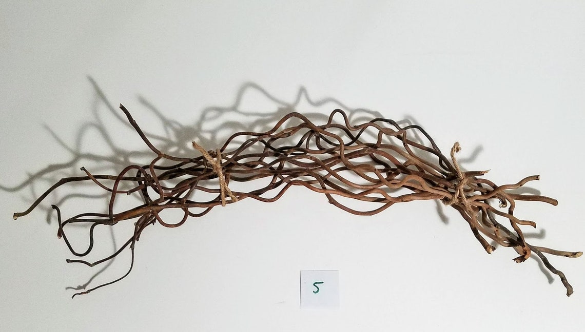 Large Twisted Sticks Stick Bundles Decor and Crafts Etsy