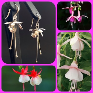 Può includere: Orecchini d'argento a forma di fiori di fucsia con steli pendenti. Gli orecchini sono esposti su uno sfondo nero. L'immagine mostra anche primi piani di fiori di fucsia di vari colori.