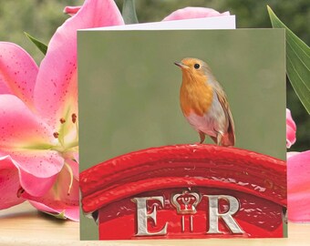 Robin on Post Box Greeting Card, Blank Inside, Square, Photograph