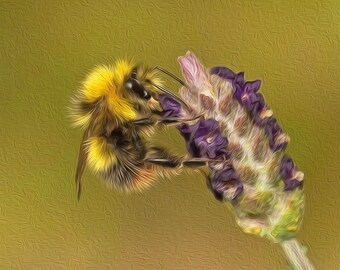 Bee on Lavender Greeting Card, Blank Inside, Square, Photograph