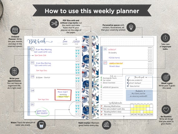 2024 Weekly Planner Pages Refill Printable, Dusty Blue Flowers Weekly  Routine on 2 Pages, Agenda Refill Happy Planner Classic Size PIRF 