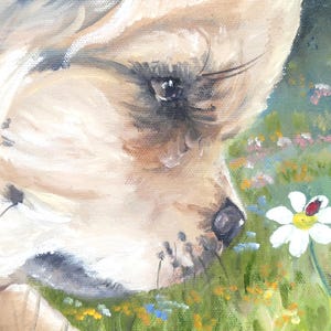 TIBETAN SPANIEL DOG Original oil painting canvas collectable gift Sandra Coen artist