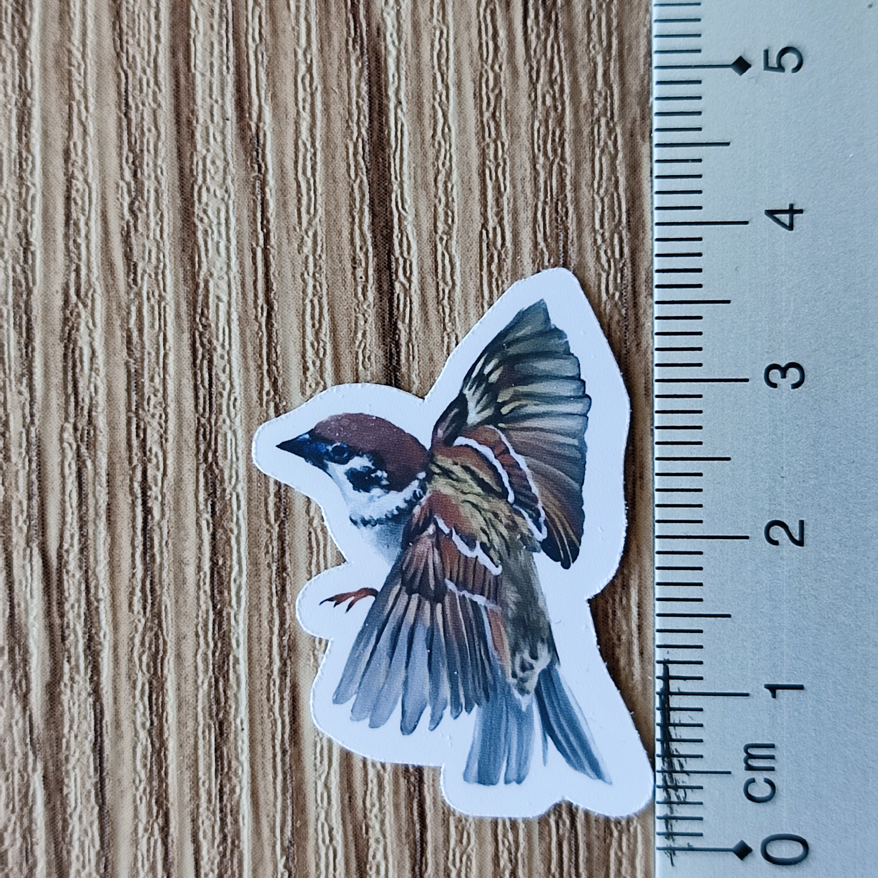 Spatz Bullet Journal Stickers Planner Stickers Scrapbook Etsy