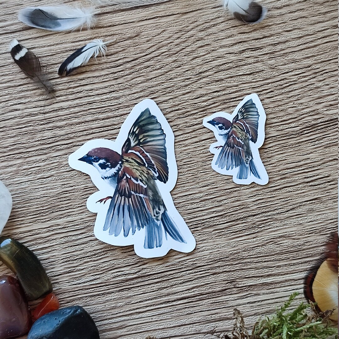 Spatz, Bullet Journal Stickers, Planner Stickers, Scrapbook Stickers