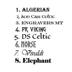 以下が含まれることがあります： 白い背景に、黒いフォント名が8つリストされています。「ALGERIAN」、「Aon Cari Celtic」、「ENGRAVERS MT」、「PR VIKING」、「DS Celtic」、「NORSE」、「Vivaldi」、そして「Elephant」が含まれています。