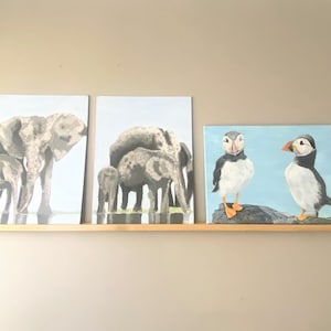 Op de afbeelding: Drie canvas schilderijen op een houten plank. Twee schilderijen tonen olifanten in grijstinten, en het derde toont twee papegaaiduikers op een rots tegen een blauwe achtergrond. De schilderijen zijn aan een lichtgekleurde muur bevestigd.