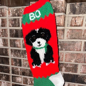 Könnte beinhalten: Rote und grüne gestrickte Weihnachtsstrumpf mit einer schwarzen und weißen Hundebild und dem Namen "BO" auf dem Strumpf gestickt.