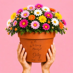 May include: A terracotta flower pot filled with a vibrant arrangement of pink, yellow, white, and orange daisies. The pot features the engraved text In Loving Memory of Dilly 2010 - 2022, accompanied by small flower icons, set against a solid pink background.