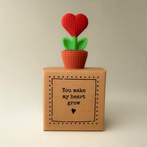 May include: A knitted red heart flower with green leaves in a terracotta pot, placed on a brown box. The box has the text "You make my heart grow" within a dotted border, and a small heart symbol.