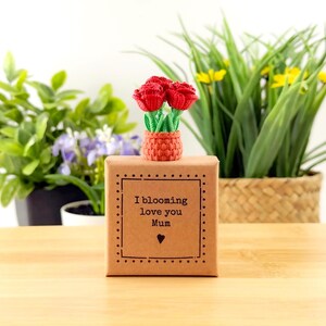 Peut inclure: Un arrangement floral au crochet fait main avec trois fleurs rouges et des tiges vertes dans un petit pot orange. Le pot est posé sur une boîte marron avec le texte "I blooming love you Mum" et un symbole de cœur.