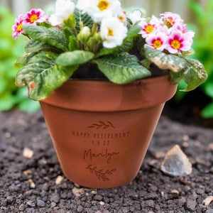 K&ouml;nnte beinhalten: Ein Terrakotta-Blumentopf mit wei&szlig;en und rosafarbenen Primeln. Der Topf ist mit einer Gravur versehen, die den Text "HAPPY RETIREMENT 1.5.22" und den Namen "Marilyn" zwischen zwei kleinen Blattzweig-Illustrationen zeigt.