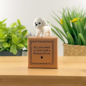 Op de afbeelding: Een klein wit Bichon Frise-beeldje dat op een vierkante bruine kartonnen doos staat. De doos is voorzien van een zwart kader met een geschulpte rand en de tekst: All you need is love and a Bichon Frise, vergezeld van een klein zwart hartje.