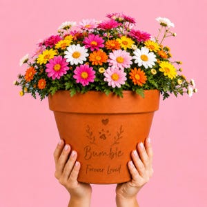 Könnte beinhalten: Ein Terrakotta-Blumentopf gefüllt mit einem lebendigen Strauß aus rosa, gelben, orangefarbenen und weißen Gänseblümchen. Der Topf zeigt ein eingraviertes Design mit einem kleinen Herz, einem Pfotenabdruck und dem Text "Bumble Forever Loved".