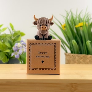 Könnte beinhalten: Eine braune Highland-Kuh-Figur aus Strick mit beigefarbenen Hörnern sitzt auf einer kleinen braunen Schachtel. Auf der Schachtel steht "You're amoozing" und ein Herz. Im Hintergrund sind grüne Pflanzen und gelbe Blumen zu sehen.
