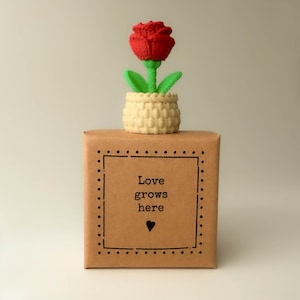 Love Grows Here - Tiny Little Gifts - Plant Pot Rose
