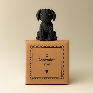 Peut inclure: Une figurine de chiot Labrador noir est posée sur une boîte marron. La boîte présente une bordure décorative et le texte "I Labrador you" avec un symbole de cœur. Le chiot a un aspect texturé.