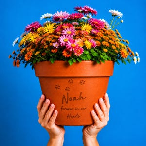 Può includere: Un vaso da fiori in terracotta riempito con una vivace composizione di fiori simili a margherite rosa, arancioni, gialli e bianchi. Il vaso presenta il nome inciso Noah, impronte di zampe e il testo forever in our Hearts sul davanti.