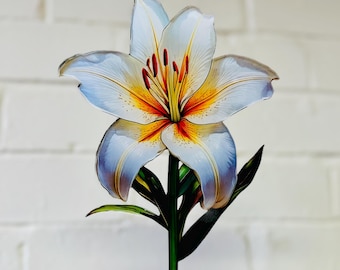 Everlasting Lily