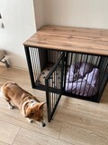 Modern Pet Crate with Wood Top – For Dogs & Cats (M-XXL sizes) product logo