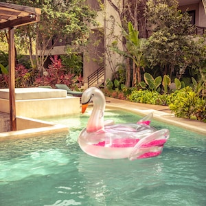 May include: A clear inflatable swan pool float with pink accents floats in a turquoise swimming pool. The pool is surrounded by lush greenery and a modern building.