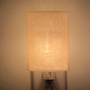 Turin Shroud + Veil of Manoppello Holy Face of Jesus Nightlight