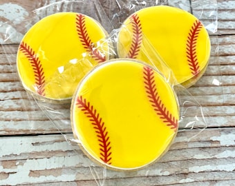 1 Dozen Softball themed party Cookies Decorated Cookies House Warming Gift Set of Cookies Softball Team