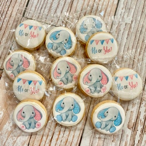 Mini Gender Reveal Boy or Girl Baby Elephant Cookies Themed Baby Shower Event Sugar Cookies Care Package Cookies Individually wrapped