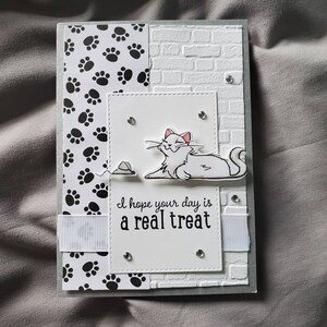 Carte d’anniversaire - Just Because - Thème chat