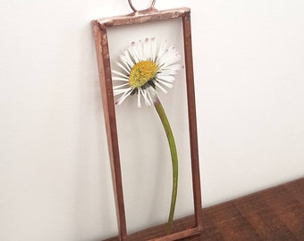 Daisy Pressed Dried Flower Glass Frame, Teacher Leaving Gift, Botanical Nature Inspired Birthday Present, Newborn Daisy Namesake gift,