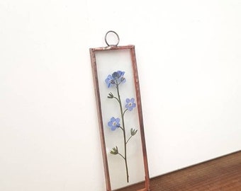 Forget Me Not Pressed Flower Frame, Condolence Gift,Birthday Present  Remembrance Keepsake, anniversary gift sympathy present