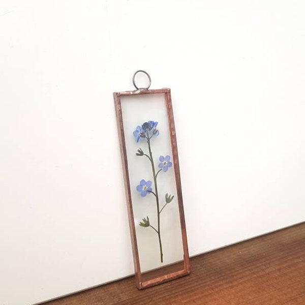 Forget Me Not Pressed Flower Frame, Condolence gift, Valentines, Birthday Present  Remembrance keepsake, nature lover wedding, newborn