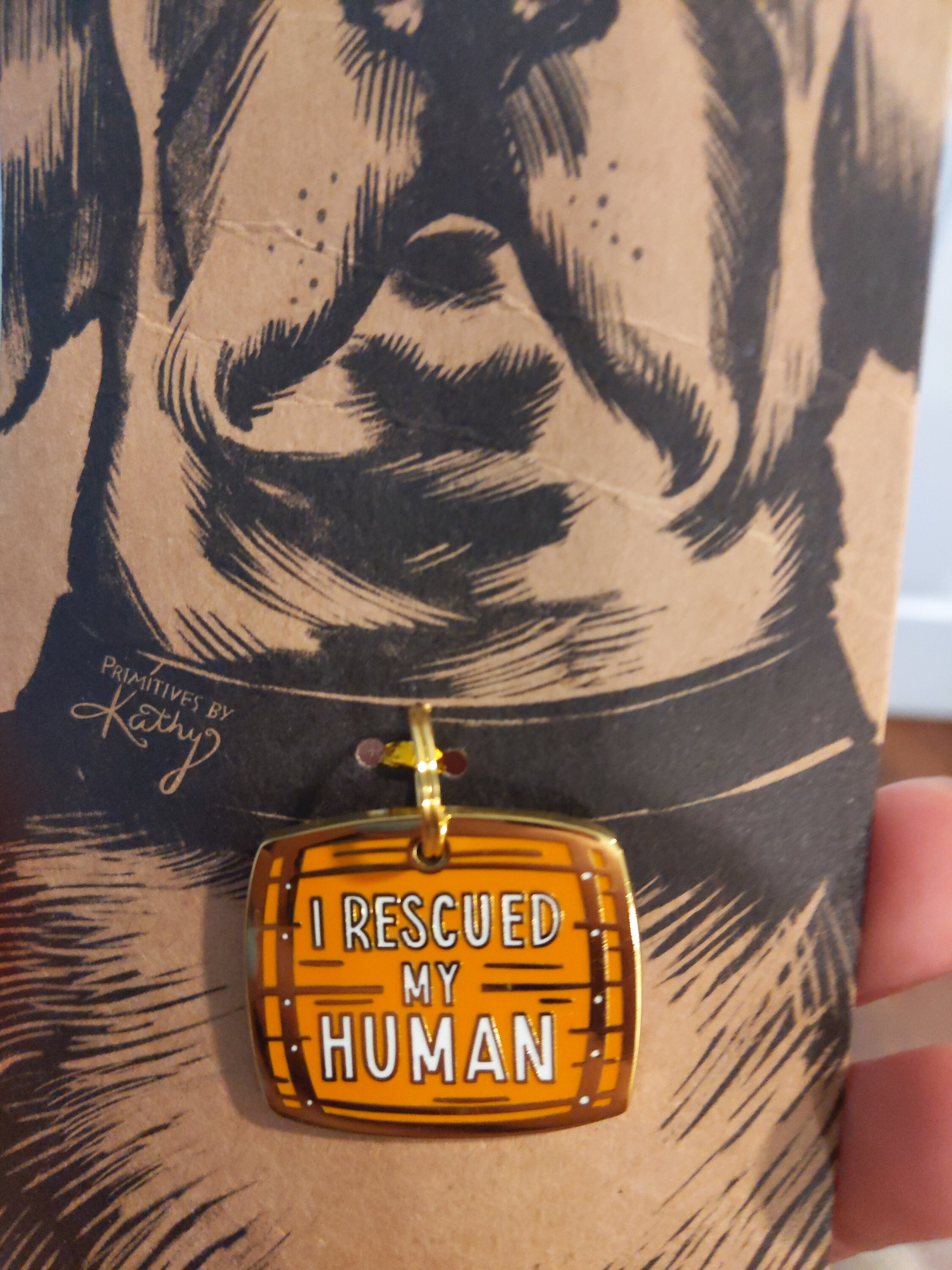 I Rescued My Human