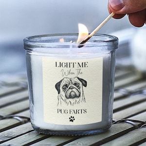 los pugs se tiran pedos