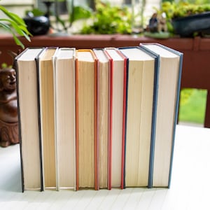 May include: A row of eight hardcover books with different colored spines, including black, white, cream, yellow, orange, red, and blue. The books are arranged vertically on a white surface.
