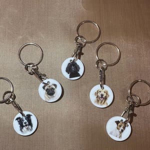 Shopping Trolley Key For Encapsulated Coin In Stainless Steel 304 | UK - Foto 8