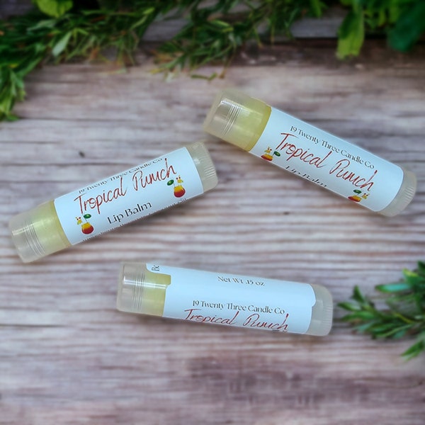 Tropical Punch Lip Balm-Artisan-Gift for Her-Gift Idea-Baby Shower Favor-Gift Idea-Chapstick