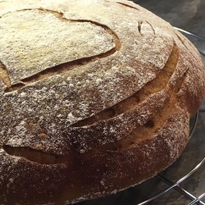 Just add water! San Francisco Sourdough Starter with Jar and flour included